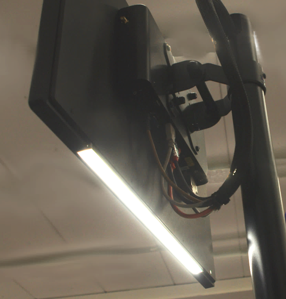 FTY with illumination system